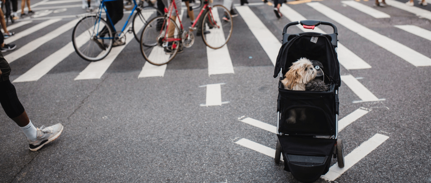 cochecito para perros