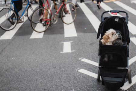 cochecito para perros