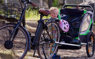 bicicleta con remolque infantil en un bosque