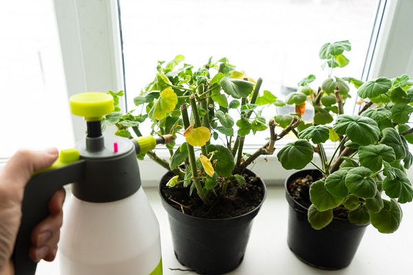 plantas y aparato para fertilizar