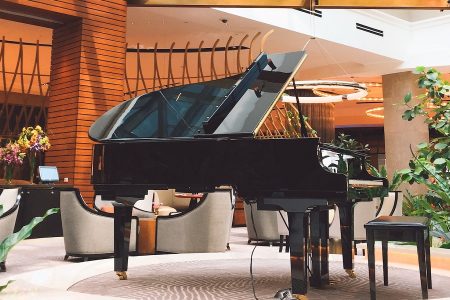 piano de cola en un entorno con plantas