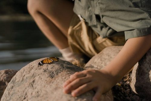 niño investigando una mariposa