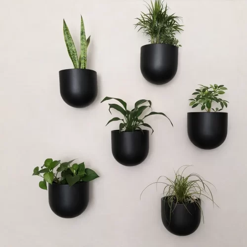 Jardineras negras montadas en pared