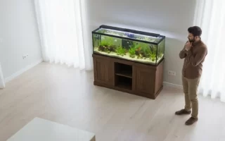 Hombre observando un gran acuario de agua dulce sobre un mueble de madera
