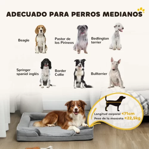 Infografía con seis razas de perros medianos aptas para la cama, con límites de longitud y peso.