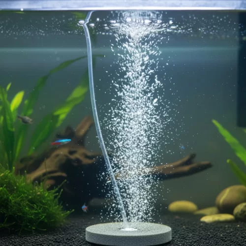 Piedra difusora de aire en acuario