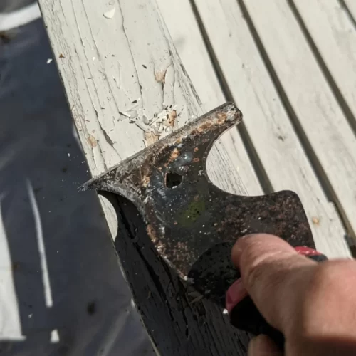 Rascando la pintura vieja de una valla de madera con espátula